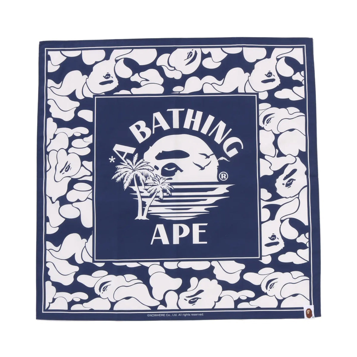 A BATHING APE BAPE SUMMER BAG